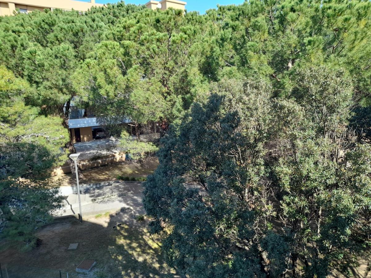 Anna'S House Su Planu Daire Cagliari Dış mekan fotoğraf